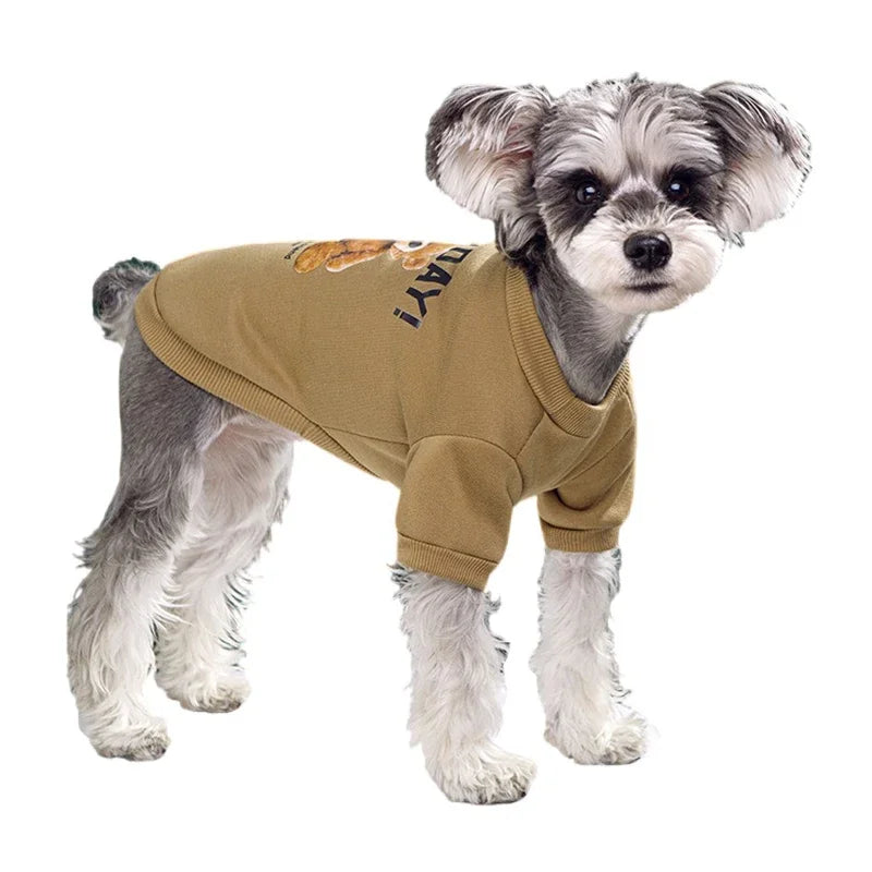 Camisola de urso fofa para animais de estimação